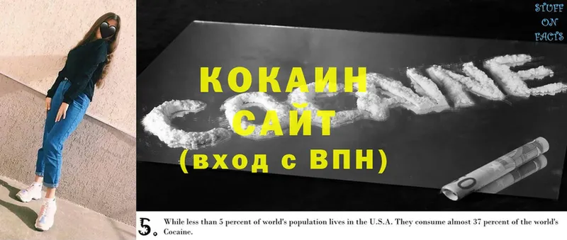 где найти   Новопавловск  mega как зайти  Cocaine Эквадор 