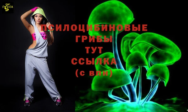 мдпв Майский
