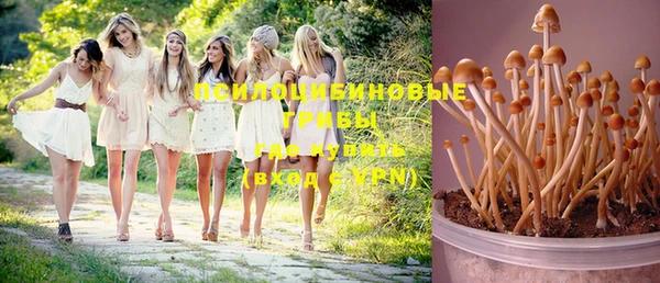мдпв Майский