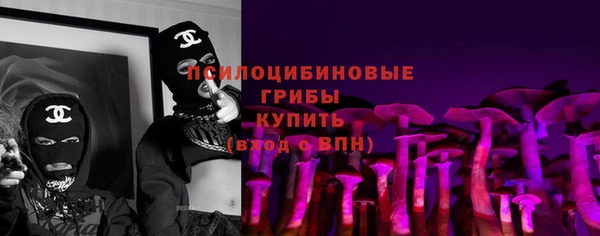 стаф Магас