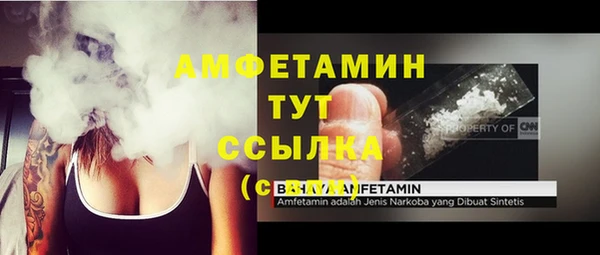 стаф Магас