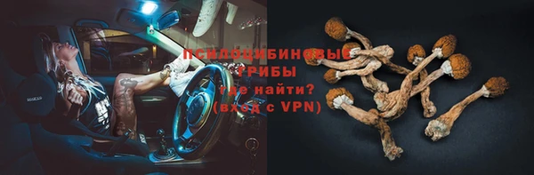 индика Магадан