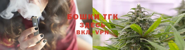 стаф Магас