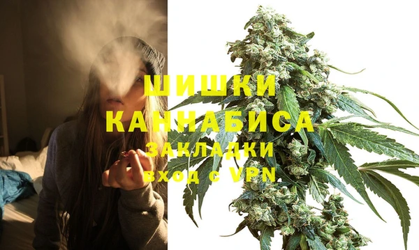 индика Магадан