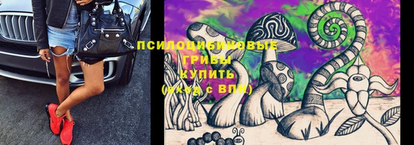 мдпв Майский