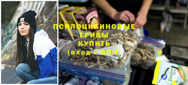индика Магадан
