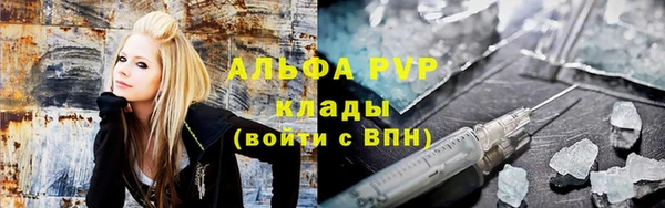 стаф Магас