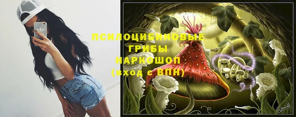 соль ск Лиски