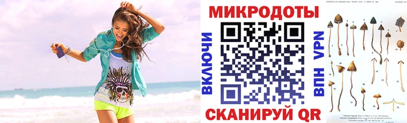 Псилоцибиновые грибы Psilocybine cubensis  Новопавловск 